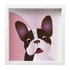 bulldog-feher-keret