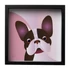 bulldog-fekete-keret